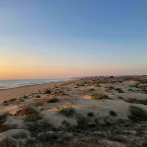 Best Beaches Near Ciudad Quesada for Sun, Sand, and Sea