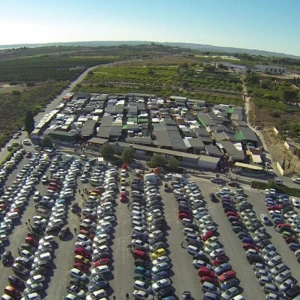 Best Markets Near Ciudad Quesada (Days & Locations)